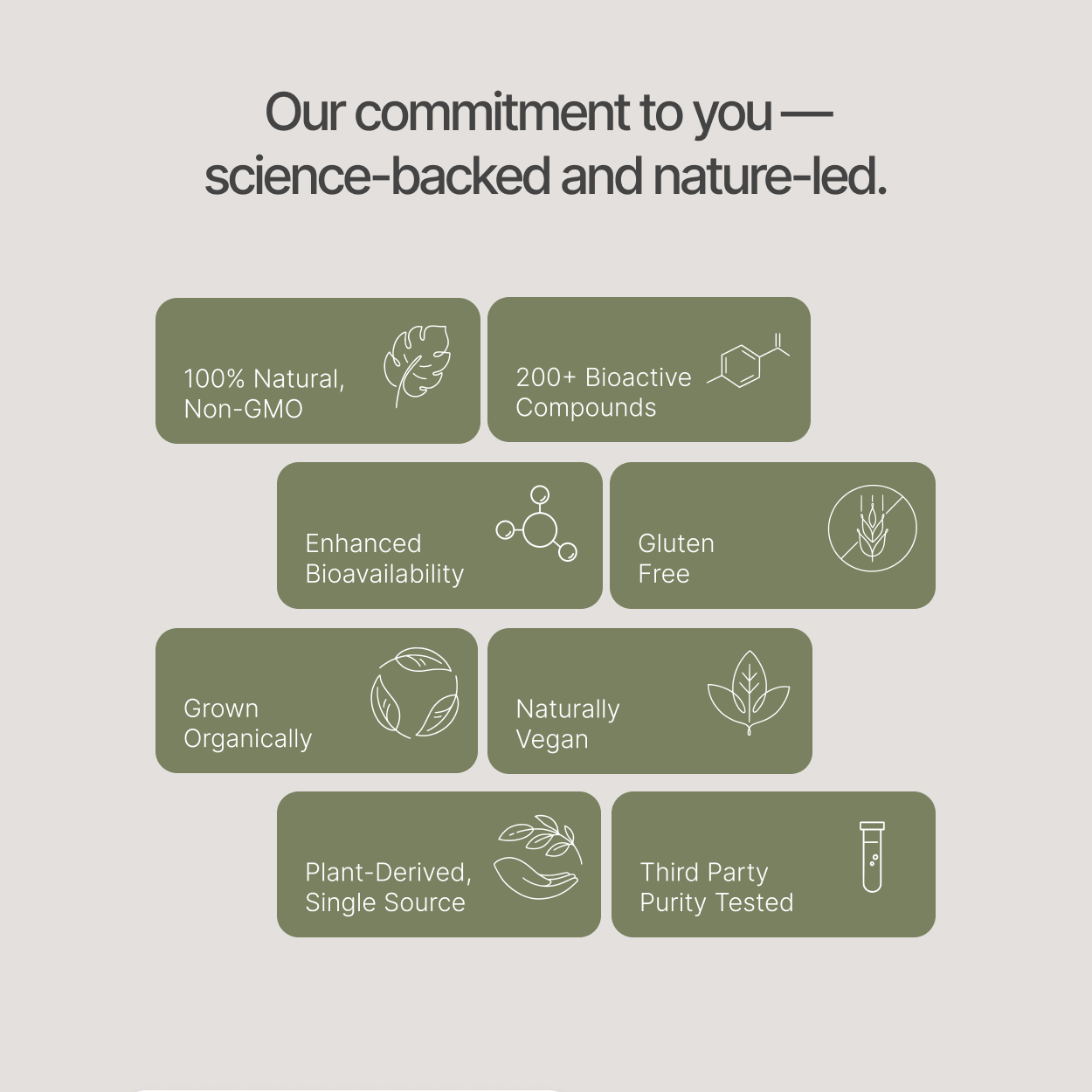 Essentbio Daily Powder